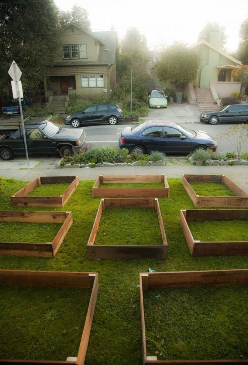 En solo 60 días, este tipo ha cultivado un jardín fresco frente a la casa