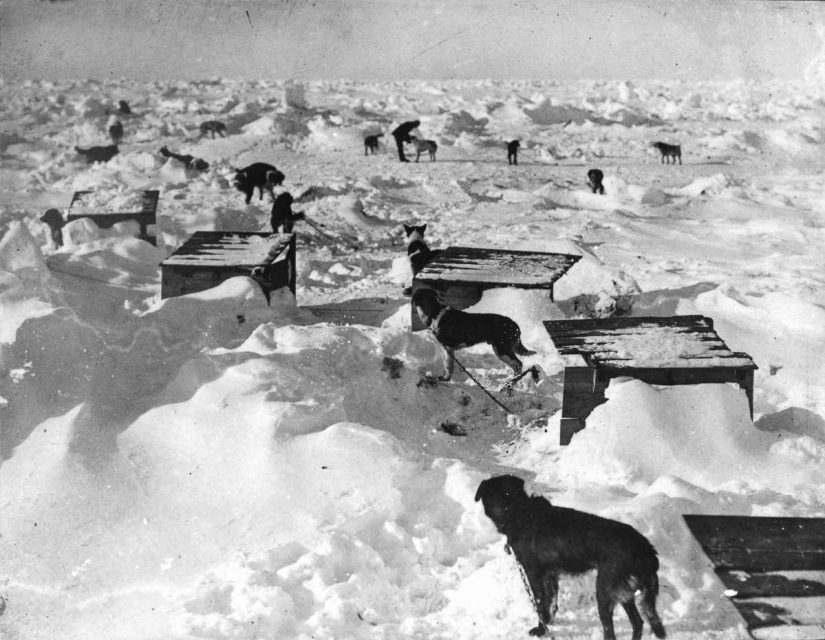 "Endurance", or the story of the survival of 28 people among the Antarctic ice in 1914-1916