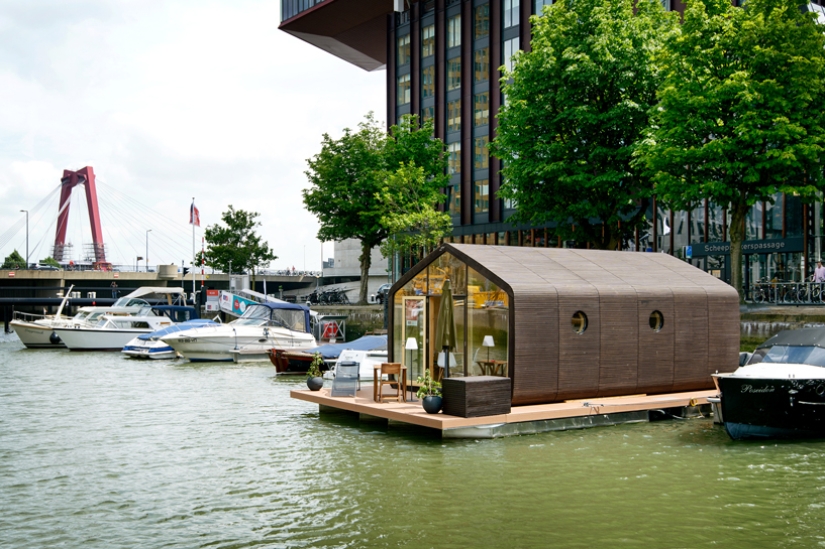 Ensamblado en 1 día, durará 100 años: los holandeses han creado una casa de cartón completamente funcional