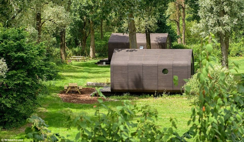 Ensamblado en 1 día, durará 100 años: los holandeses han creado una casa de cartón completamente funcional