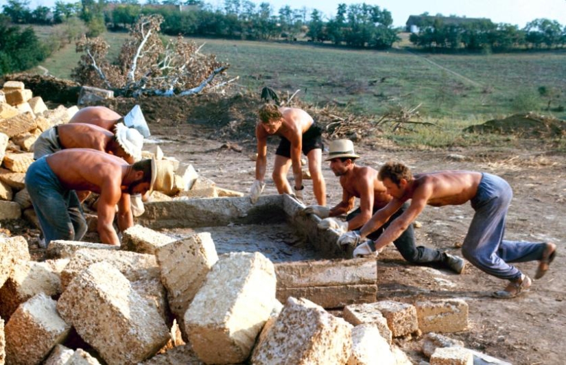 Entregamos el plan: la juventud soviética de los años 60