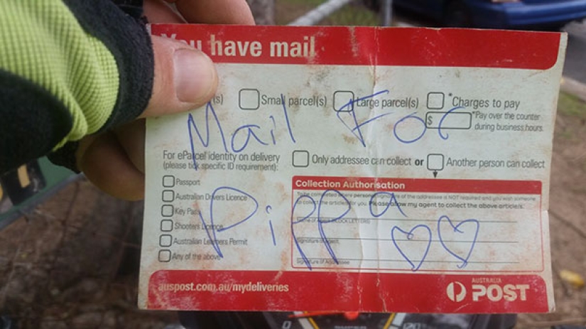 Esta perra se molestó al no recibir el correo, y el cartero comenzó a escribirle cartas