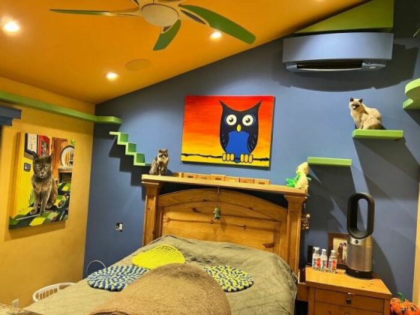 Este hombre diseñó el hogar perfecto para sus gatos