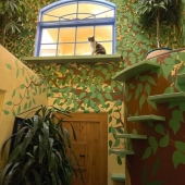 Este hombre diseñó el hogar perfecto para sus gatos