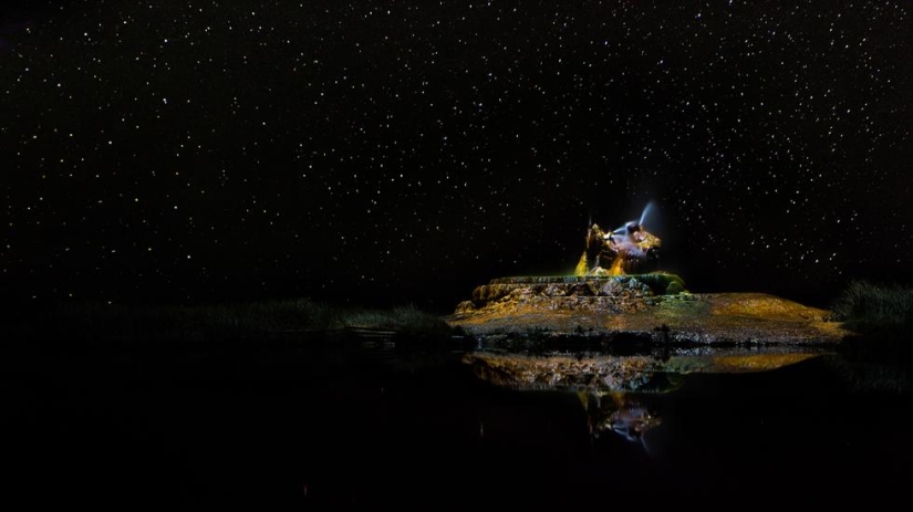 Exorcistas de la oscuridad. Paisajes donde la noche no es incolora