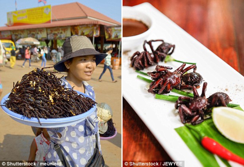 Exotic delicacies that are difficult to eat without closing your eyes