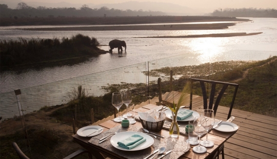 Experiencia Safari de siete estrellas