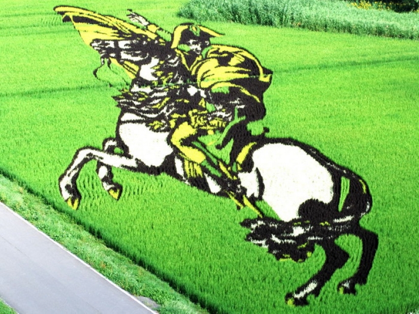 Extraordinarias pinturas sobre arrozales