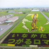 Extraordinary paintings on rice fields