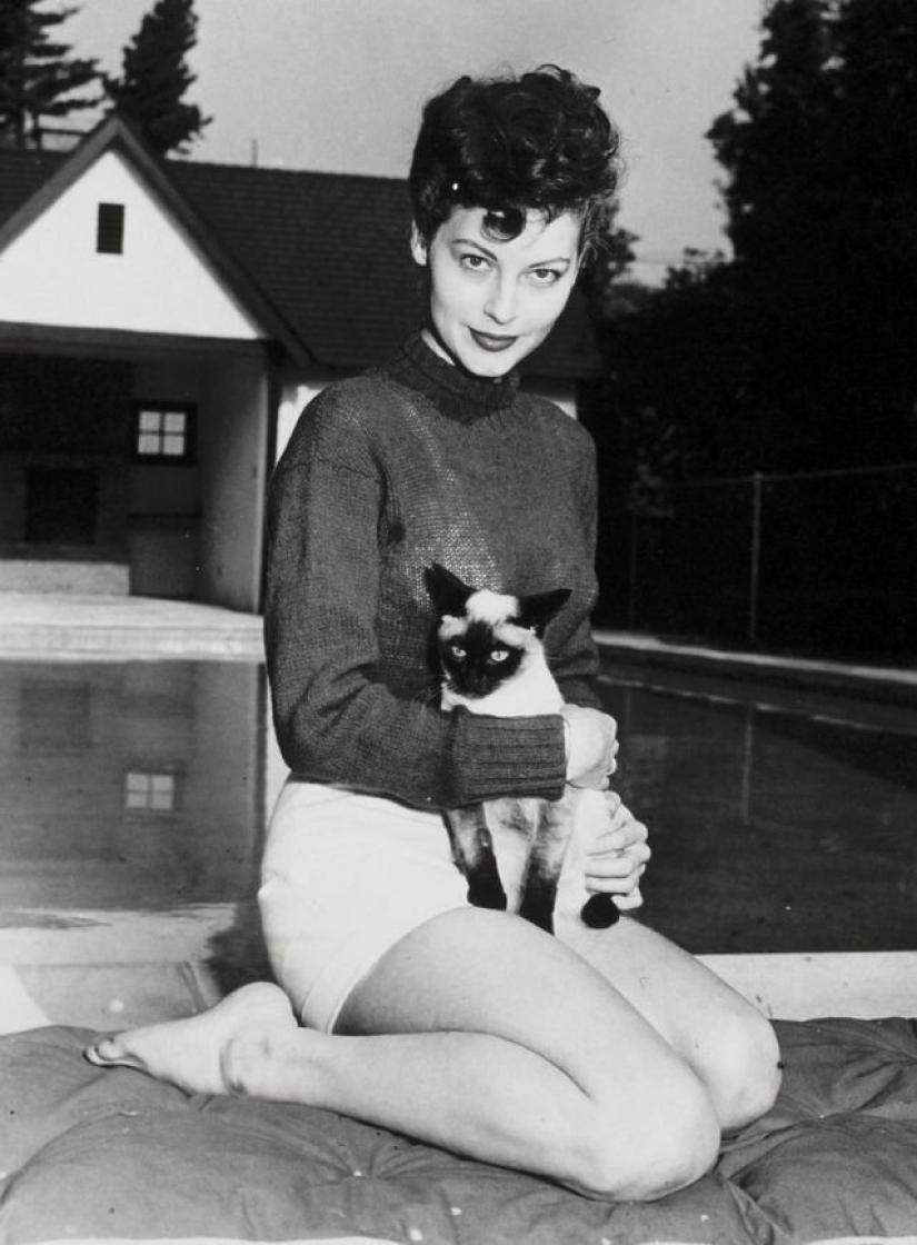 Famous cat lovers: famous personalities and their Pets