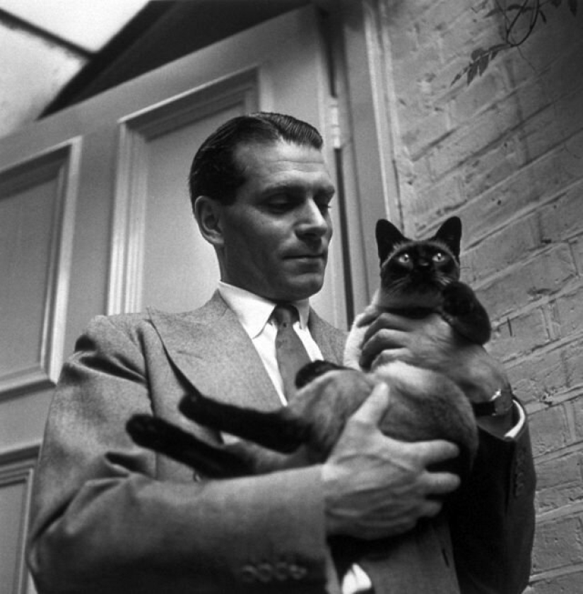 Famous cat lovers: famous personalities and their Pets