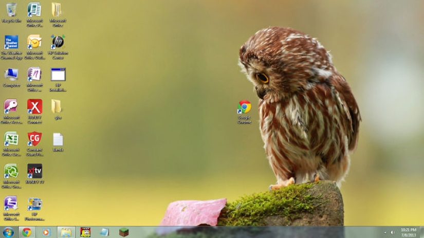 Fantastic ideas for desktop wallpapers so that colleagues turn their necks when passing by