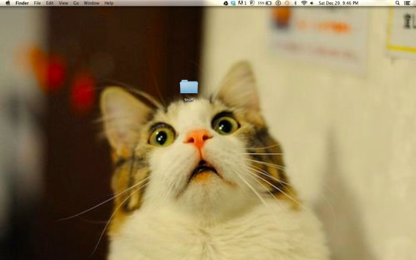 Fantastic ideas for desktop wallpapers so that colleagues turn their necks when passing by
