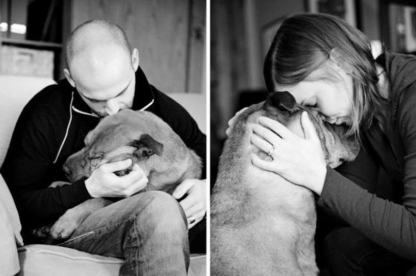 Farewell forever: the photographer captures the last moment of love between the owner and the dog before euthanasia