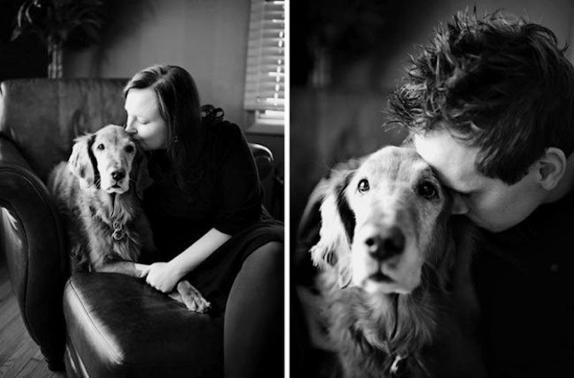 Farewell forever: the photographer captures the last moment of love between the owner and the dog before euthanasia