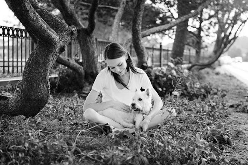 Farewell forever: the photographer captures the last moment of love between the owner and the dog before euthanasia