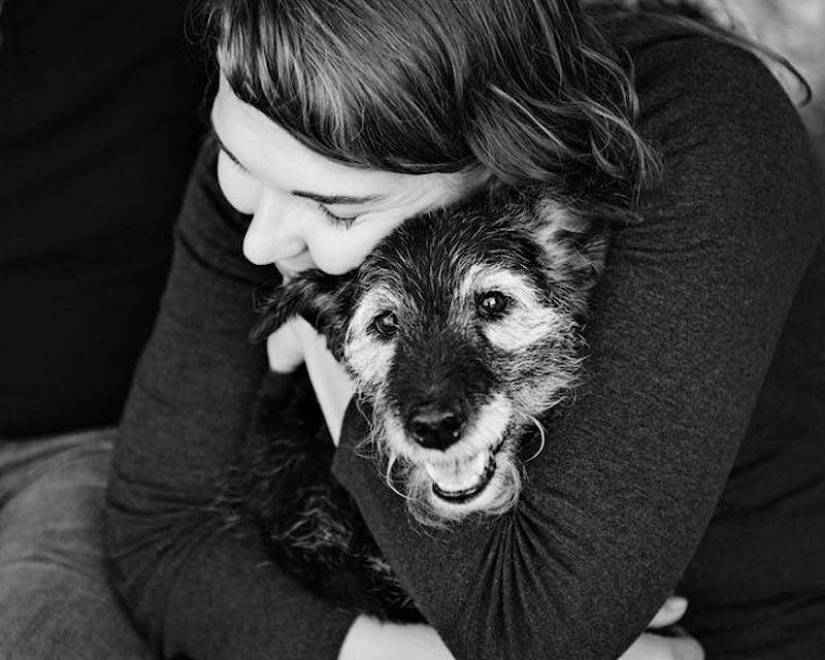 Farewell forever: the photographer captures the last moment of love between the owner and the dog before euthanasia