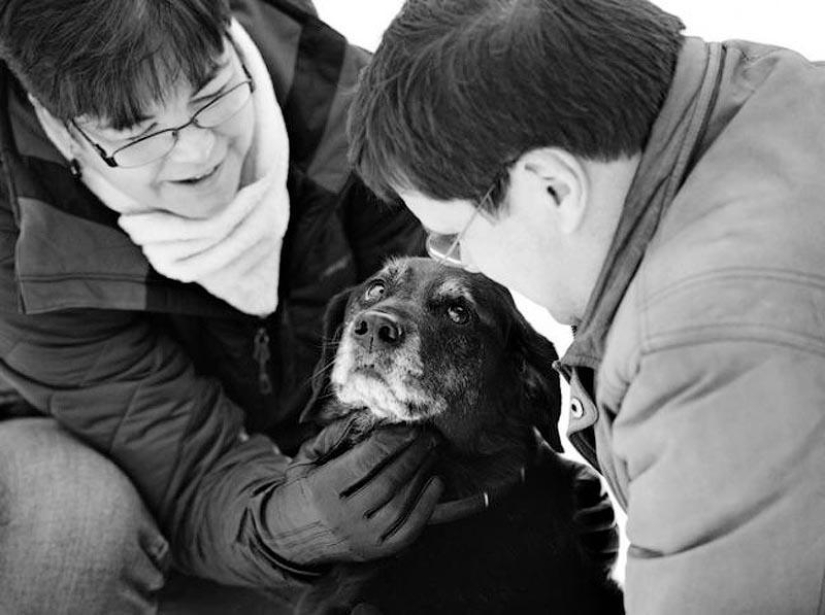 Farewell forever: the photographer captures the last moment of love between the owner and the dog before euthanasia