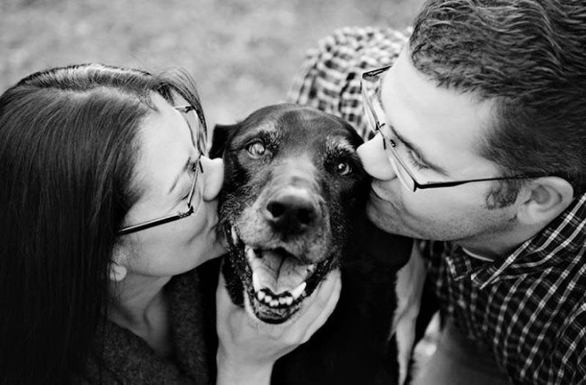 Farewell forever: the photographer captures the last moment of love between the owner and the dog before euthanasia