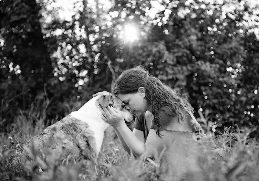 Farewell forever: the photographer captures the last moment of love between the owner and the dog before euthanasia