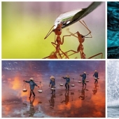 Fascinating water: The 50 best works of the Agora photo contest #Water2020