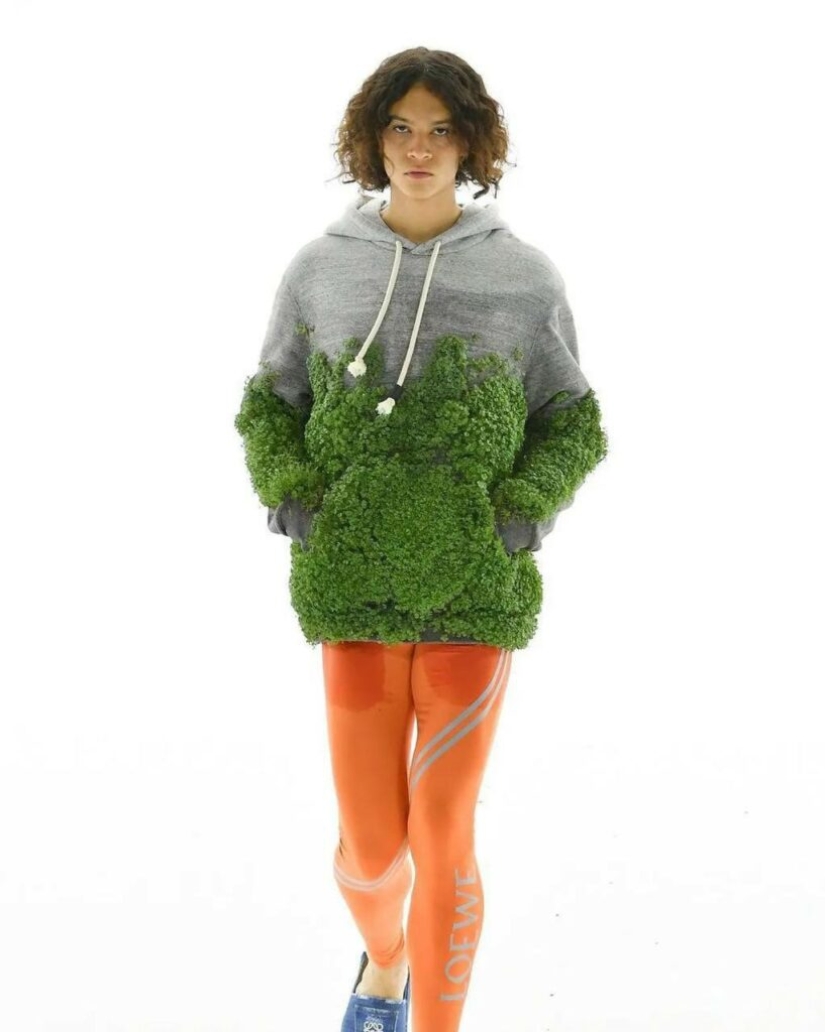 Fashion brand Loewe presented clothes covered with moss and grass