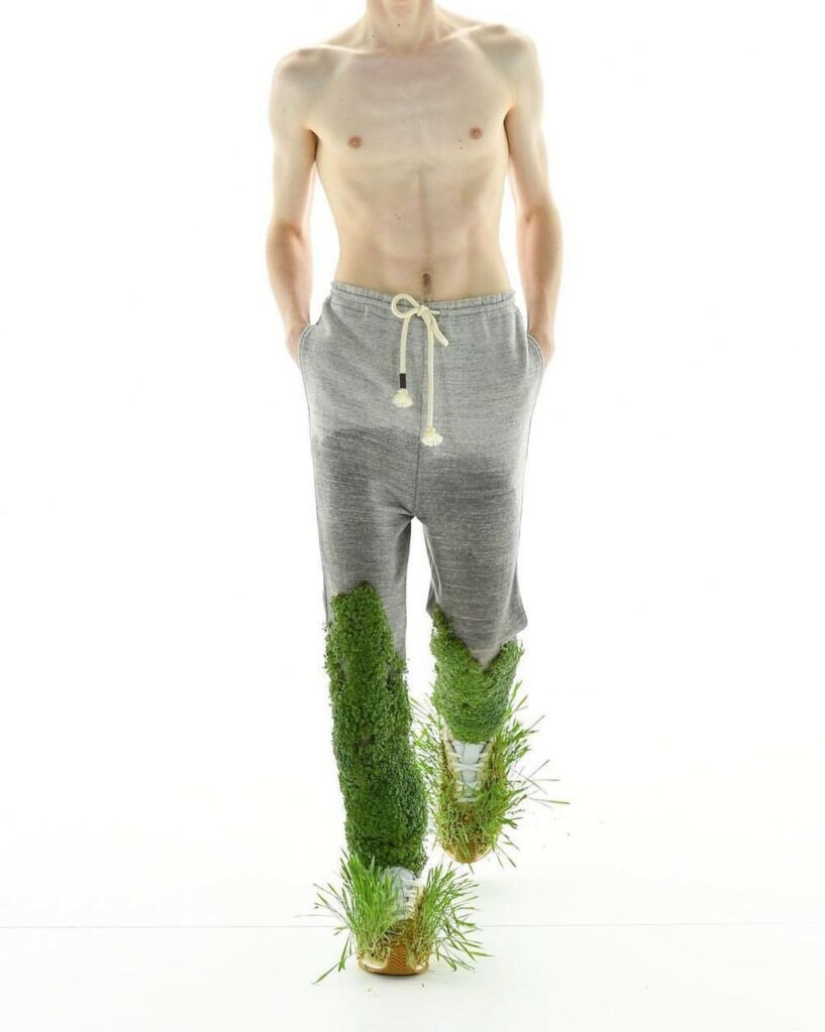 Fashion brand Loewe presented clothes covered with moss and grass