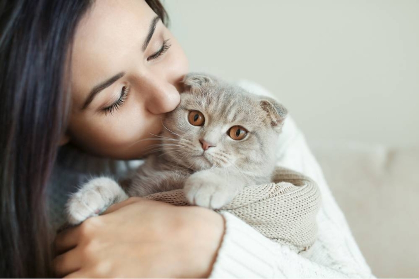 Feline therapy — why people are treated with cats and how it happens