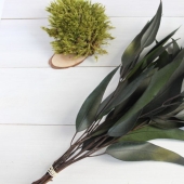 Feng Shui Plants. 10 plants that take bad energy out of your home