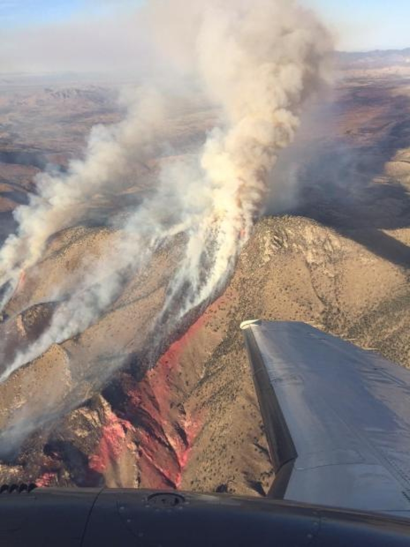Fiesta de bomberos: un guardia fronterizo estadounidense quemó 18 mil hectáreas de bosque en honor a unas vacaciones familiares