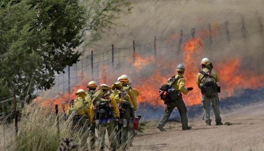 Fiesta de bomberos: un guardia fronterizo estadounidense quemó 18 mil hectáreas de bosque en honor a unas vacaciones familiares