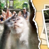 Figs to you, not selfies! A monkey in Bali made an epic shot with tourists herself