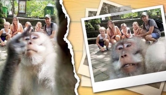 Figs to you, not selfies! A monkey in Bali made an epic shot with tourists herself