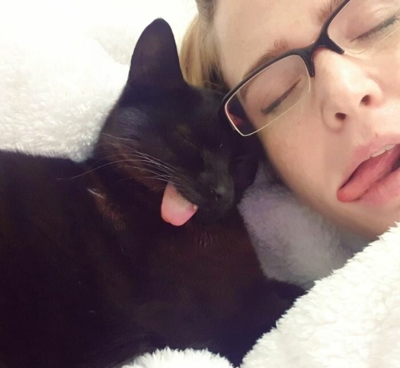 Fluffy love: how the rescued cat Tzimes with his tongue hanging out found a family