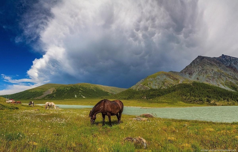 Fotos increíblemente hermosas, después de verlas, definitivamente querrás ir a Altai