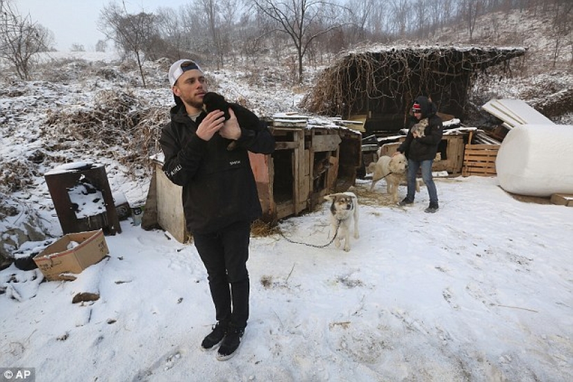 Freestyle skier Gus Kenworthy will bring a rescued dog from Pyeongchang instead of a medal