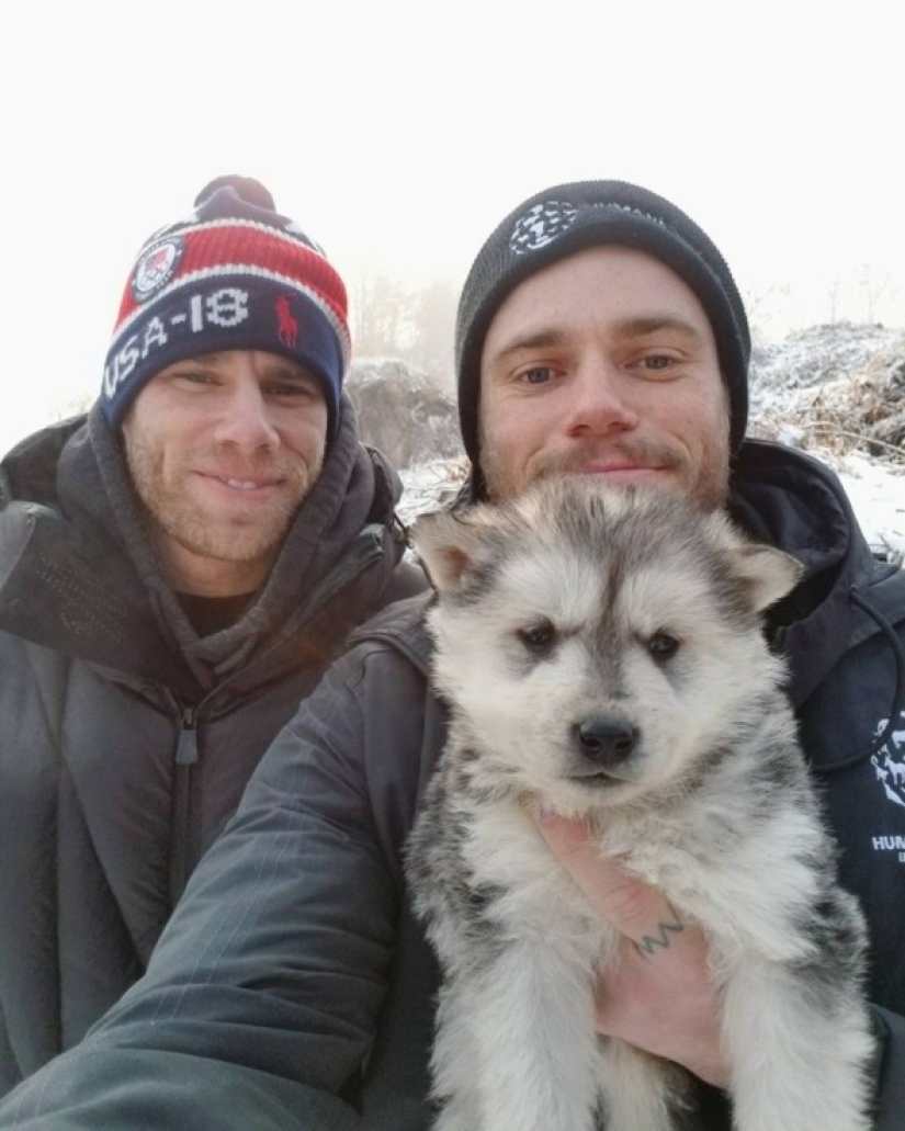 Freestyle skier Gus Kenworthy will bring a rescued dog from Pyeongchang instead of a medal