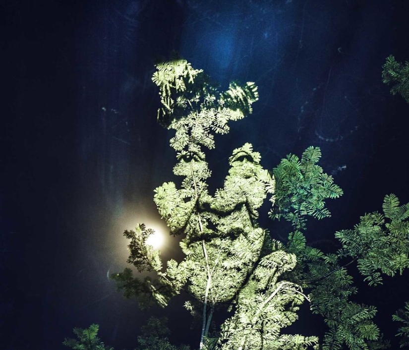 French artist paints with light in the Amazon jungle