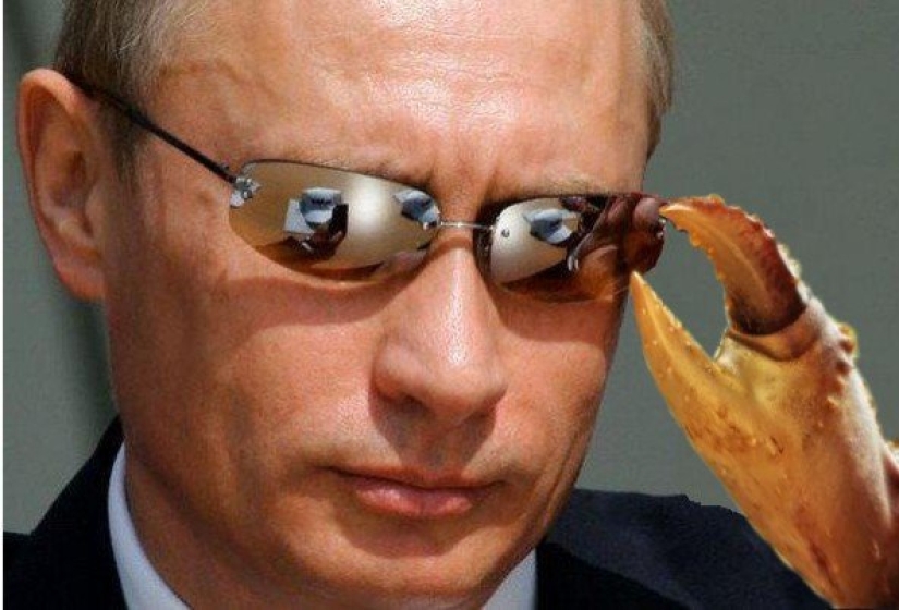 From "Putin Crab" to "Pyni": an exhibition of memes with the president will be held in Moscow