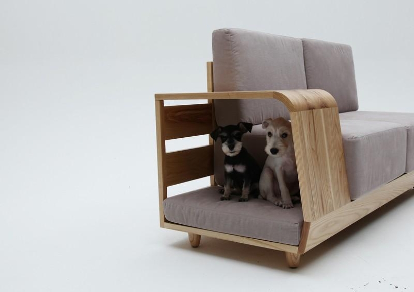 Furniture solutions for animal lovers