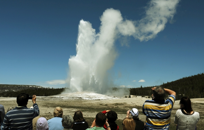 Géiseres, bisontes y otras atracciones de Yellowstone