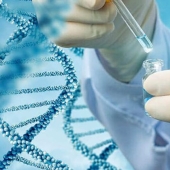 Genetic paparazzi: scientists fear the appearance of DNA hunters