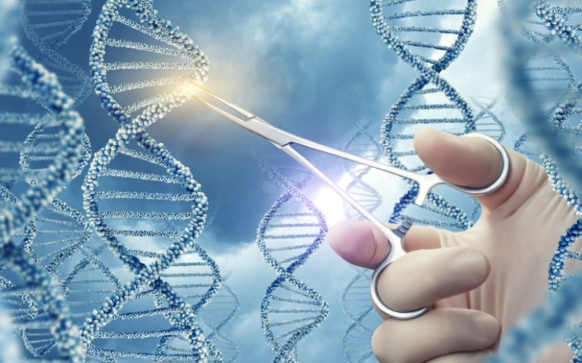 Genome editing - technologies that will irrevocably change the world