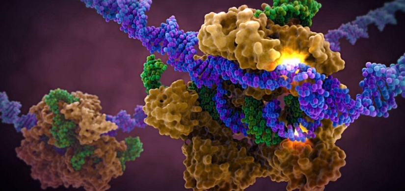 Genome editing - technologies that will irrevocably change the world