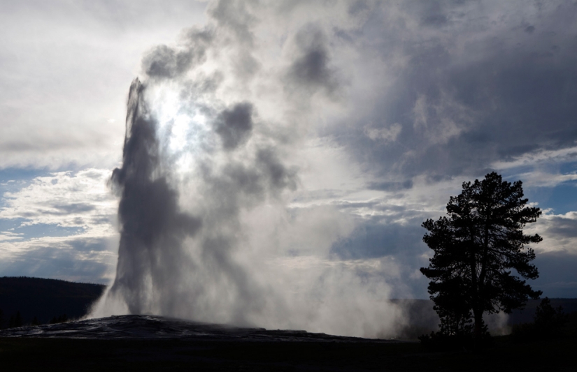 Geysers, bison and other Yellowstone attractions