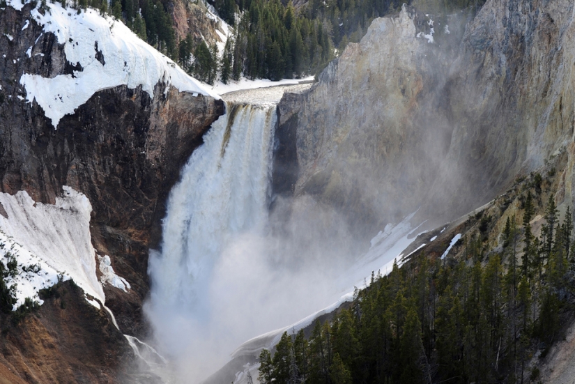 Geysers, bison and other Yellowstone attractions