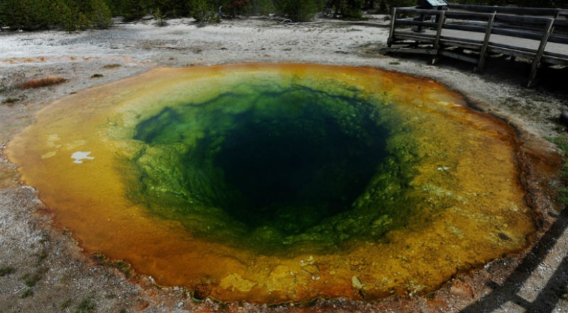 Geysers, bison and other Yellowstone attractions - Pictolic