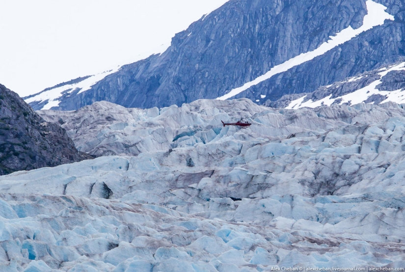 Glaciares De Alaska Pictolic