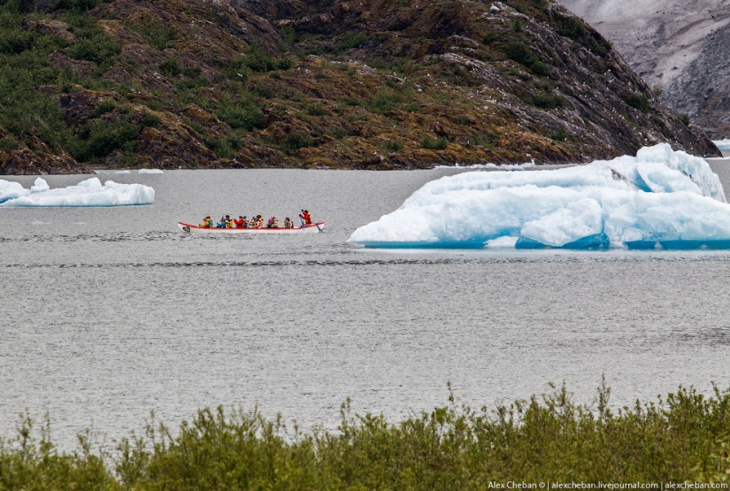 Glaciares de Alaska