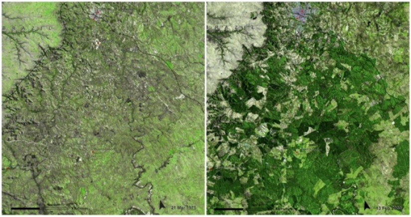 Global Climate Change in NASA Photos: Before and After